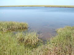 Image file: photo35.jpg