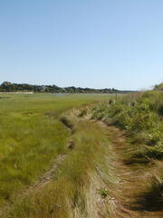 Image file: photo37.jpg