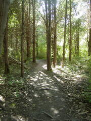 Image file: photo45.jpg