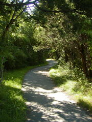 Image file: photo49.jpg