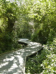 Image file: photo52.jpg