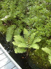 Image file: photo54.jpg