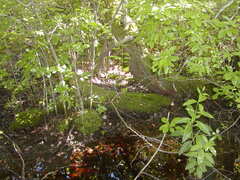 Image file: photo55.jpg