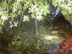 Image file: photo58.jpg