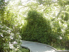 Image file: photo59.jpg