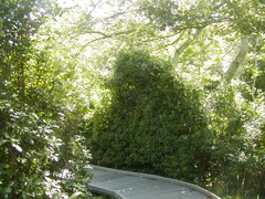 Image file: photo60.jpg