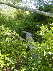 Image file: photo61.jpg