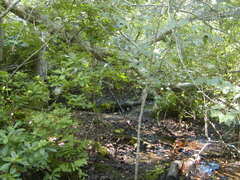 Image file: photo63.jpg