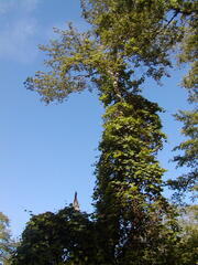 Image file: photo65.jpg