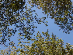 Image file: photo67.jpg