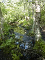 Image file: photo69.jpg