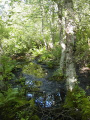 Image file: photo70.jpg