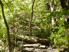 Image file: photo71.jpg