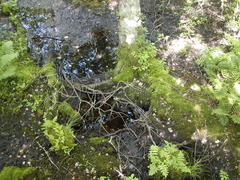 Image file: photo72.jpg