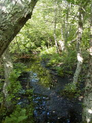 Image file: photo73.jpg