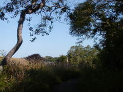 Image file: photo74.jpg