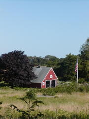 Image file: photo76.jpg