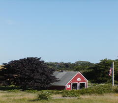 Image file: photo77.jpg