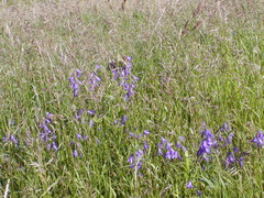 Image file: photo79.jpg