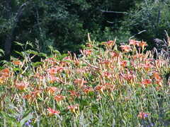 Image file: photo81.jpg