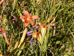 Image file: photo84.jpg