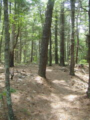 Image file: photo03.jpg