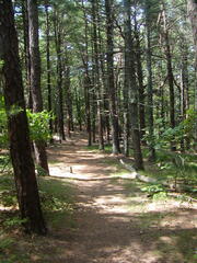 Image file: photo05.jpg