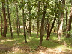 Image file: photo06.jpg