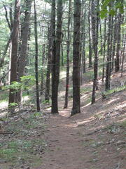 Image file: photo07.jpg