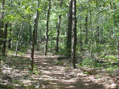 Image file: photo12.jpg