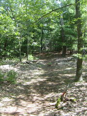 Image file: photo13.jpg