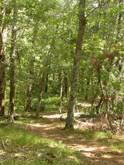 Image file: photo14.jpg