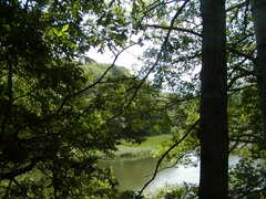 Image file: photo17.jpg