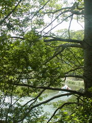 Image file: photo20.jpg