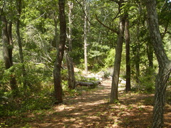 Image file: photo21.jpg