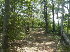 Image file: photo24.jpg