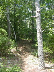 Image file: photo25.jpg