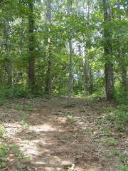 Image file: photo26.jpg