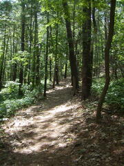 Image file: photo27.jpg