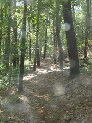 Image file: photo28.jpg