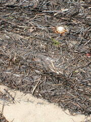 Image file: photo12.jpg