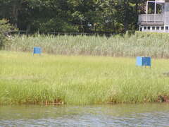 Image file: photo13.jpg