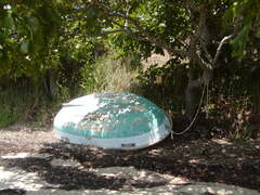 Image file: photo16.jpg