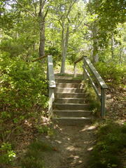 Image file: photo19.jpg