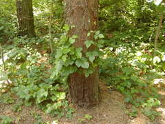 Image file: photo26.jpg