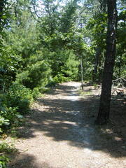 Image file: photo27.jpg