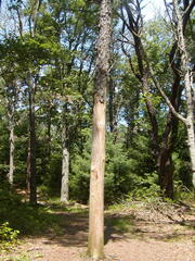 Image file: photo28.jpg