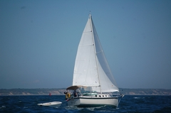 Image file: photo01.jpg