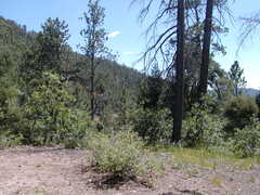 Image file: photo02.jpg