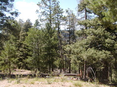 Image file: photo04.jpg